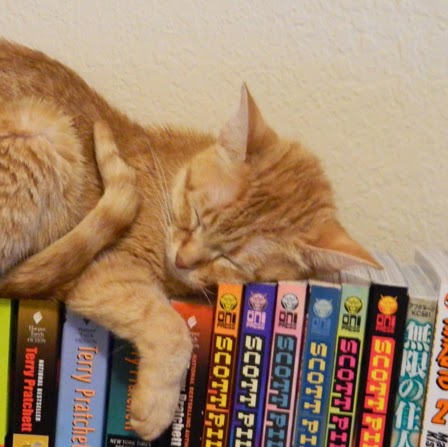 Thomas Snyder Photo 40 Thomas Snyder Photo 40