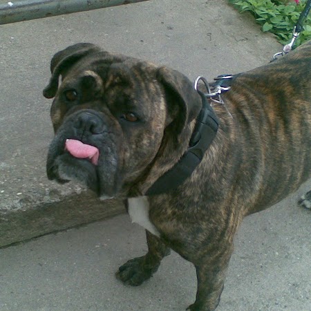 Kirsten Walter Photo 14