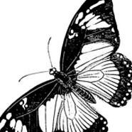 Trudy Burns Photo 23