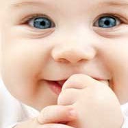 Mujeeb Mohammed Photo 7