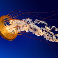 Stuart Rich Photo 27