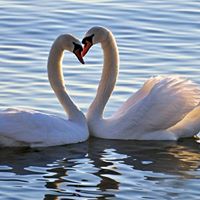 Patrice Henderson Photo 13