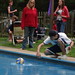 Steven Getz Photo 15
