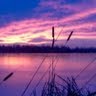 Linda Mcintyre Photo 14