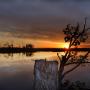John Howell Photo 25