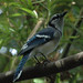 Jay Dugger Photo 5