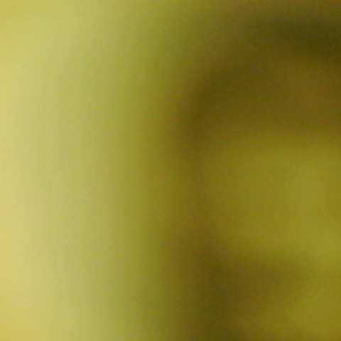 Gary Kendrick Photo 27