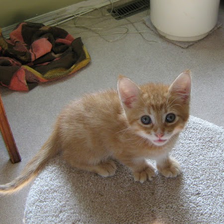 Sherry Browning Photo 8