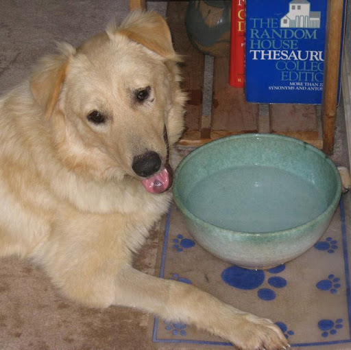 David Metzger Photo 46