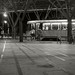 Tram Le Photo 10