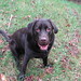 Leo Stratton Photo 10