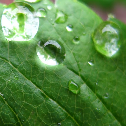 Stephanie Ashley Photo 22