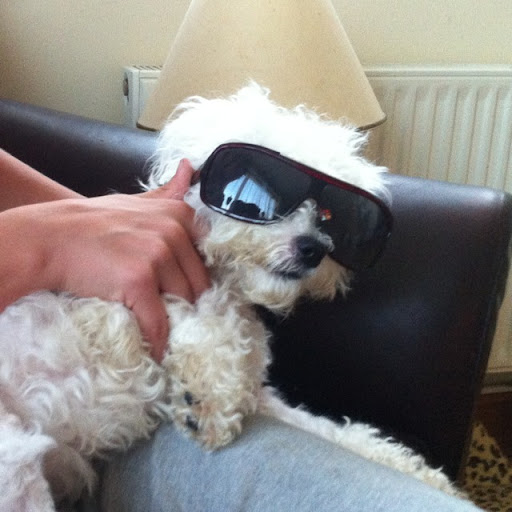 Jenny Nicholson Photo 18