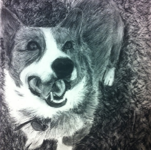 Chris Sullivan Photo 8