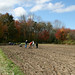 Marcia Fields Photo 30