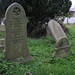 Mary Burrows Photo 15