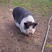Martha Baxter Photo 20