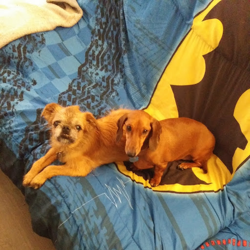 Barbara Gibbs Photo 49