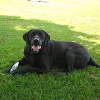 Vickie Thompson Photo 9