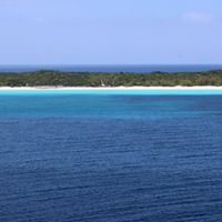 Joyce Dickens Photo 7