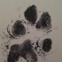 Nancy Brook Photo 18