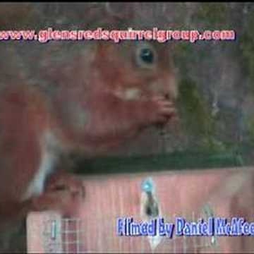 Daniel Mcafee Photo 8