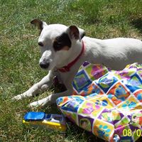 Wayne Hammonds Photo 3