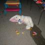 Glenn Farris Photo 17