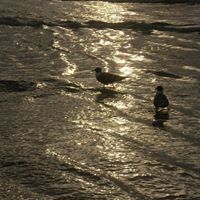 Theresa Hayes Photo 8