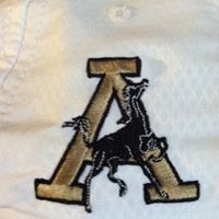 Todd Handley Photo 17