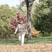 Linda Ingalls Photo 6