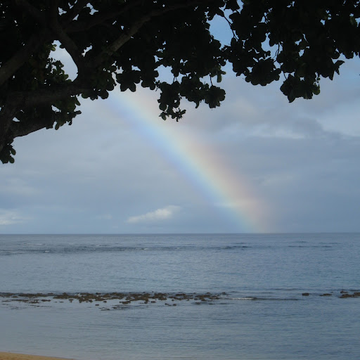 Kathy Morrissey Photo 26