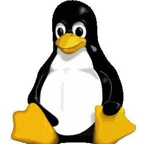 Keith Moran Photo 10