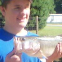 Harvey Tucker Photo 18