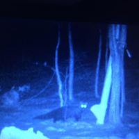 James Tower Photo 29