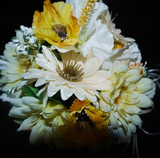 Diane Cowan Photo 29