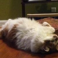 Debbie Winstead Photo 9