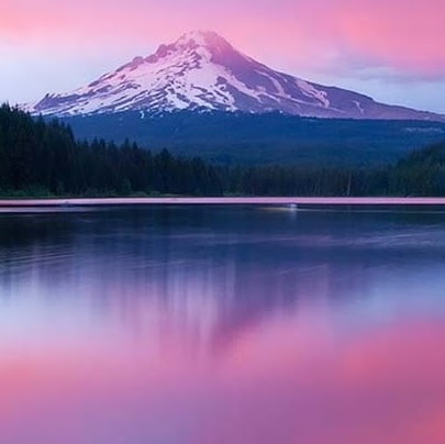 Cindy Raley Photo 12