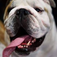 Shaun Fuller Photo 11