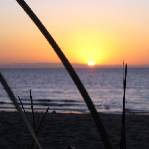 Lawrence Day Photo 14 Lawrence Day Photo 14