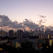 Dawn Faber Photo 9