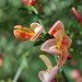 Maria Bloom Photo 33