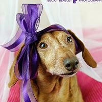 Tracy Bender Photo 11