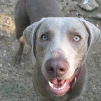 Brenda Short Photo 8