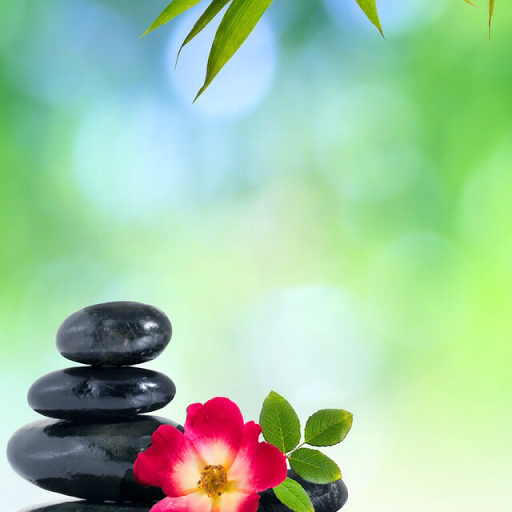 Connie Evans Photo 4