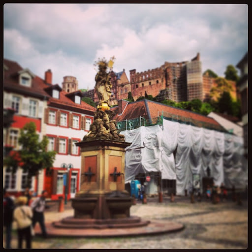 Julie Fleming Photo 11