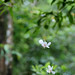 April Snow Photo 25