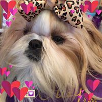 Victoria Phillips Photo 40