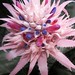 Kathy Hardy Photo 18