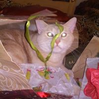 Annette Laird Photo 11